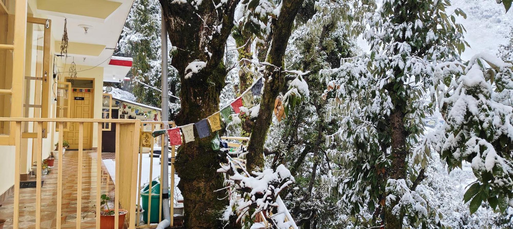 The Unmad - Dharamkot Bed & Breakfast Dharamshala Luaran gambar