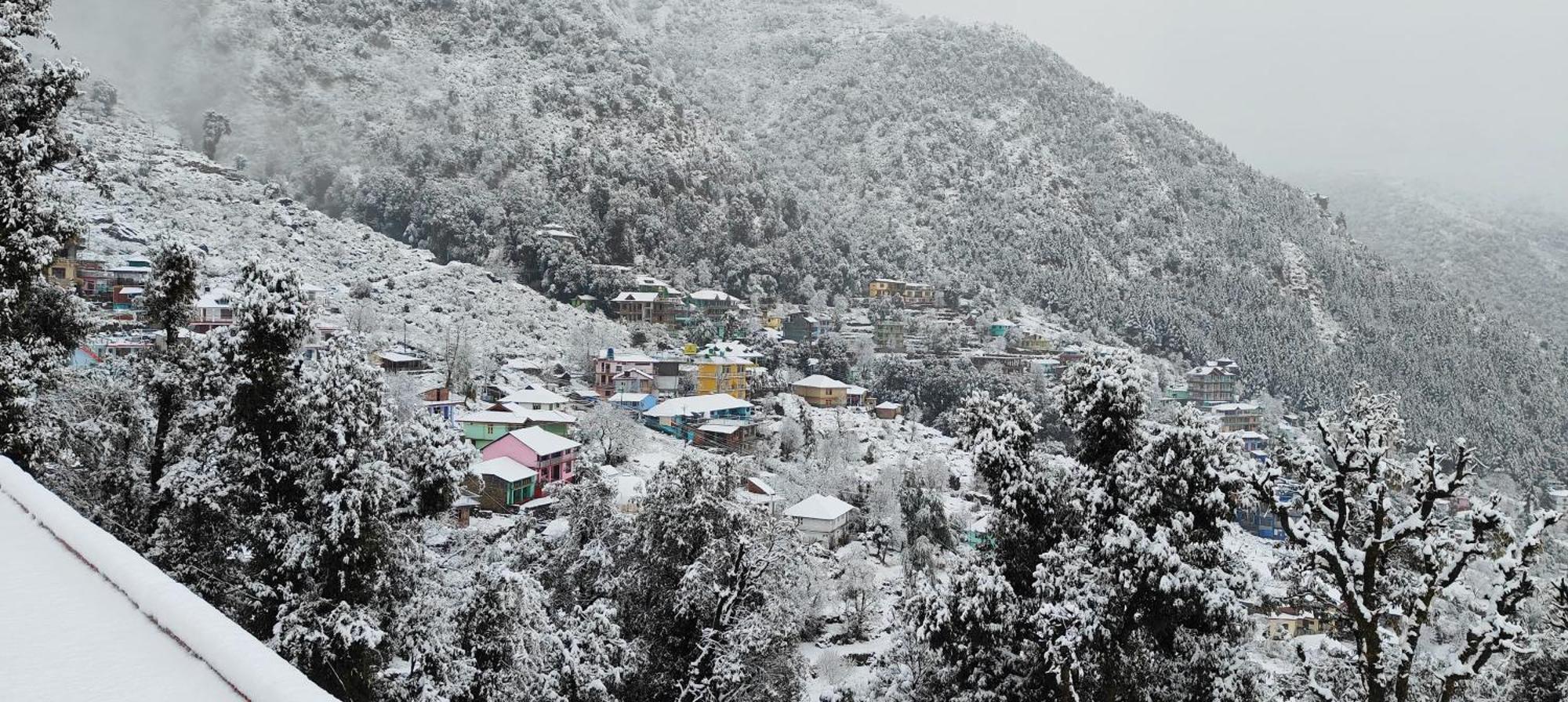 The Unmad - Dharamkot Bed & Breakfast Dharamshala Luaran gambar